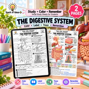 May include: Two educational study sheets titled The Digestive System, one blank for coloring and labeling and one fully colored with anatomical diagrams. The sheets feature illustrations of the human digestive tract, stomach layers, and intestinal villi.