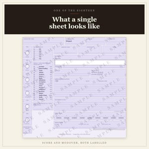 DnD Character Sheet Bundle 5e | 18 Fillable and Printable PDF Sheets, All 12 Classes for Dungeon Master Gifts image 6