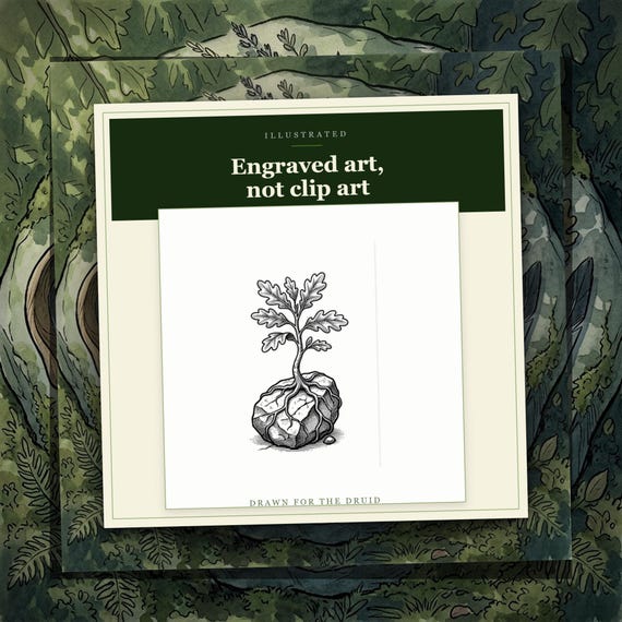 Druid — image 10
