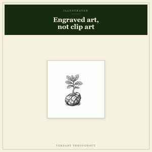 Hoja de personaje de DnD 5e Verdant / PDF rellenable e imprimible, hoja de personaje ilustrada para principiantes de DnD imagen 8