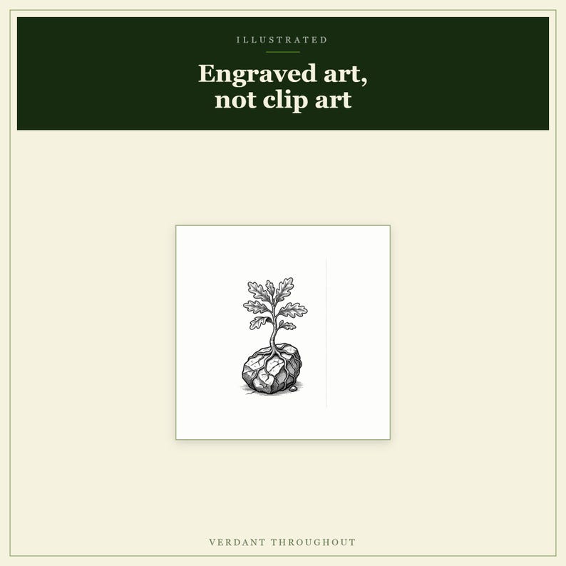Hoja de personaje de DnD 5e Verdant / PDF rellenable e imprimible, hoja de personaje ilustrada para principiantes de DnD imagen 8