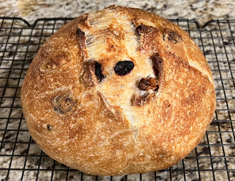 May include: A freshly baked loaf of sourdough bread with a golden brown crust and a few dark raisins visible on the surface. The bread is sitting on a wire rack.