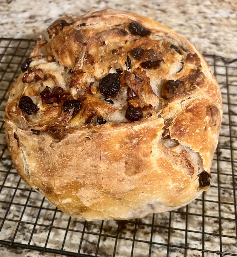 May include: A freshly baked loaf of bread with raisins and walnuts. The bread has a golden brown crust and is slightly cracked on the surface.