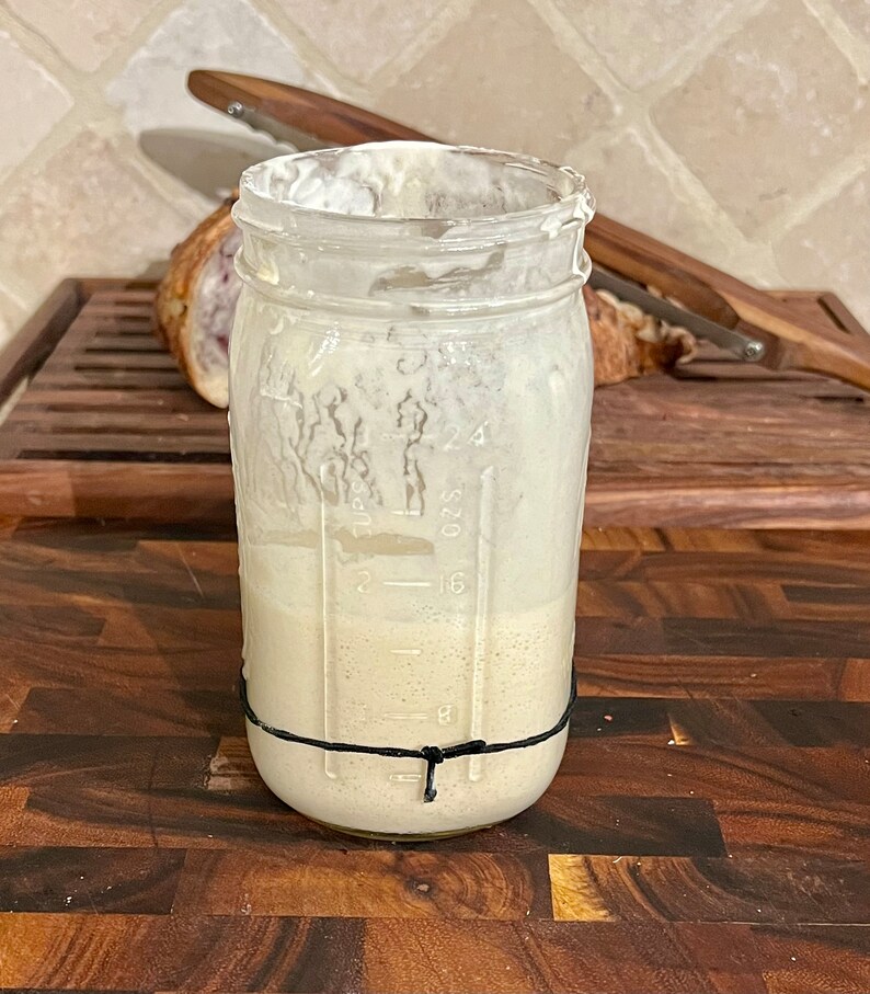 May include: A clear glass jar with a black rubber band around the top. The jar is filled with a light brown liquid and has markings on the side indicating ounces.