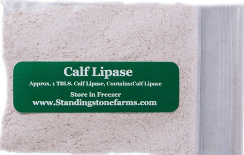 Calf Lipase for Cheese Making One 1 Tablespoon Package. Use in