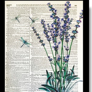 Lavender, Lavender Print, Dictionary Prints, Dictionary Wall Art, Lavender Wall Art, Lavender Flowers, Lavender Flower Print,Lavender Decor