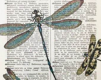 Dragonfly Art, 5.5 x8 Dragonfly Printed French Dictionary Page, Dragonfly 5.5 x 8  French Dictionary page, Dragonfly Prints, Teal Dragonfly