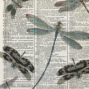 Dragonfly Art, Dragonfly Print, Dragonfly Artwork, Dragonfly Pictures, Teal Dragonfly, Dictionary Dragonfly Art, Dictionary Print, 8x10 Size image 5