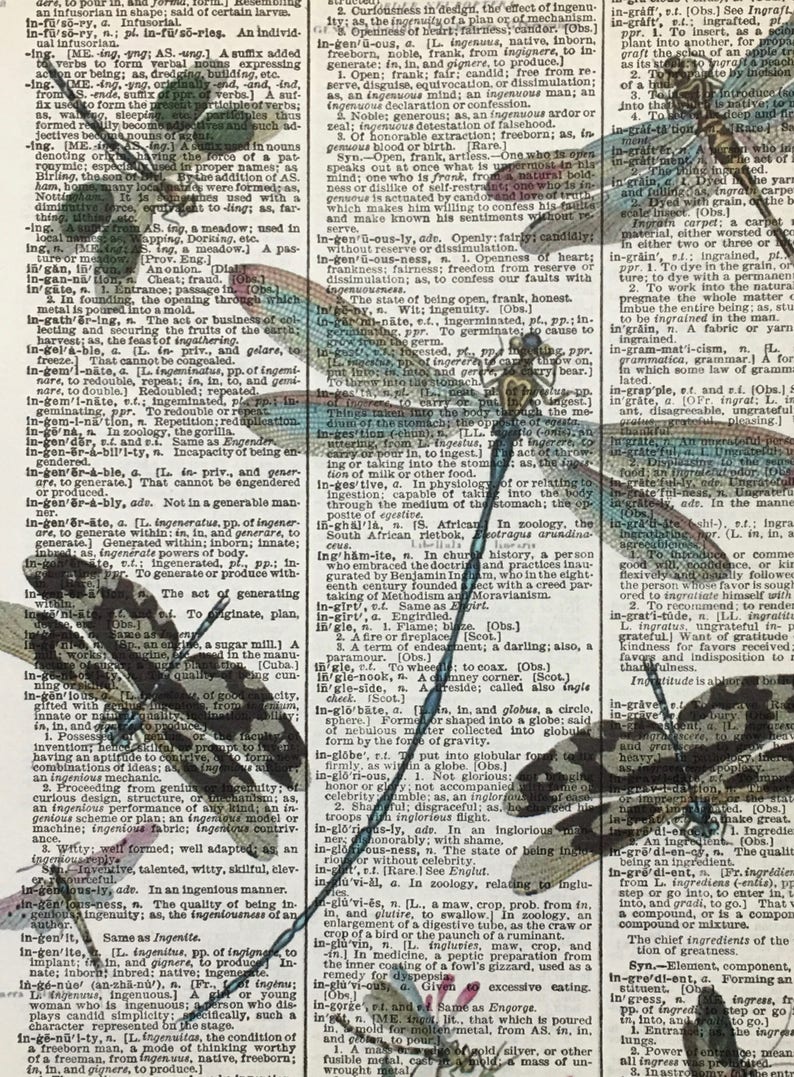 Dragonfly Art, Dragonfly Print, Dragonfly Artwork, Dragonfly Pictures, Teal Dragonfly, Dictionary Dragonfly Art, Dictionary Print, 8x10 Size image 5