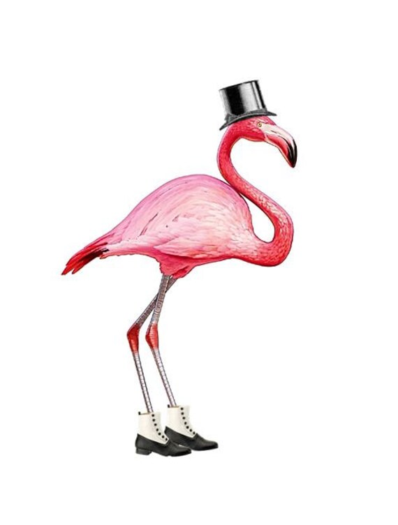 Pink Flamingo his Top Hatmixed Media 