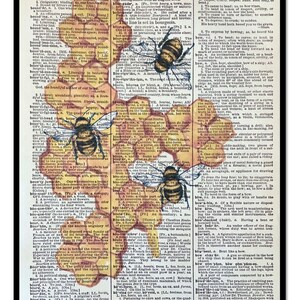 Bee Honeycomb, Queen Bee, Honey Bee Wall Prints, Honey Bee, Bees, Bee Decor, Size 8x10 Vintage Dictionary Page Print, Honey Bee Picture,Bees