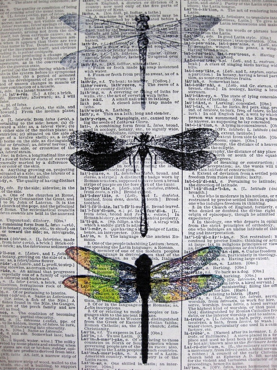 dragonfly print dragonfly artwork