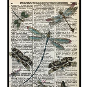 Dragonfly Art, Dragonfly Print, Dragonfly Artwork, Dragonfly Pictures, Teal Dragonfly, Dictionary Dragonfly Art, Dictionary Print, 8x10 Size image 2