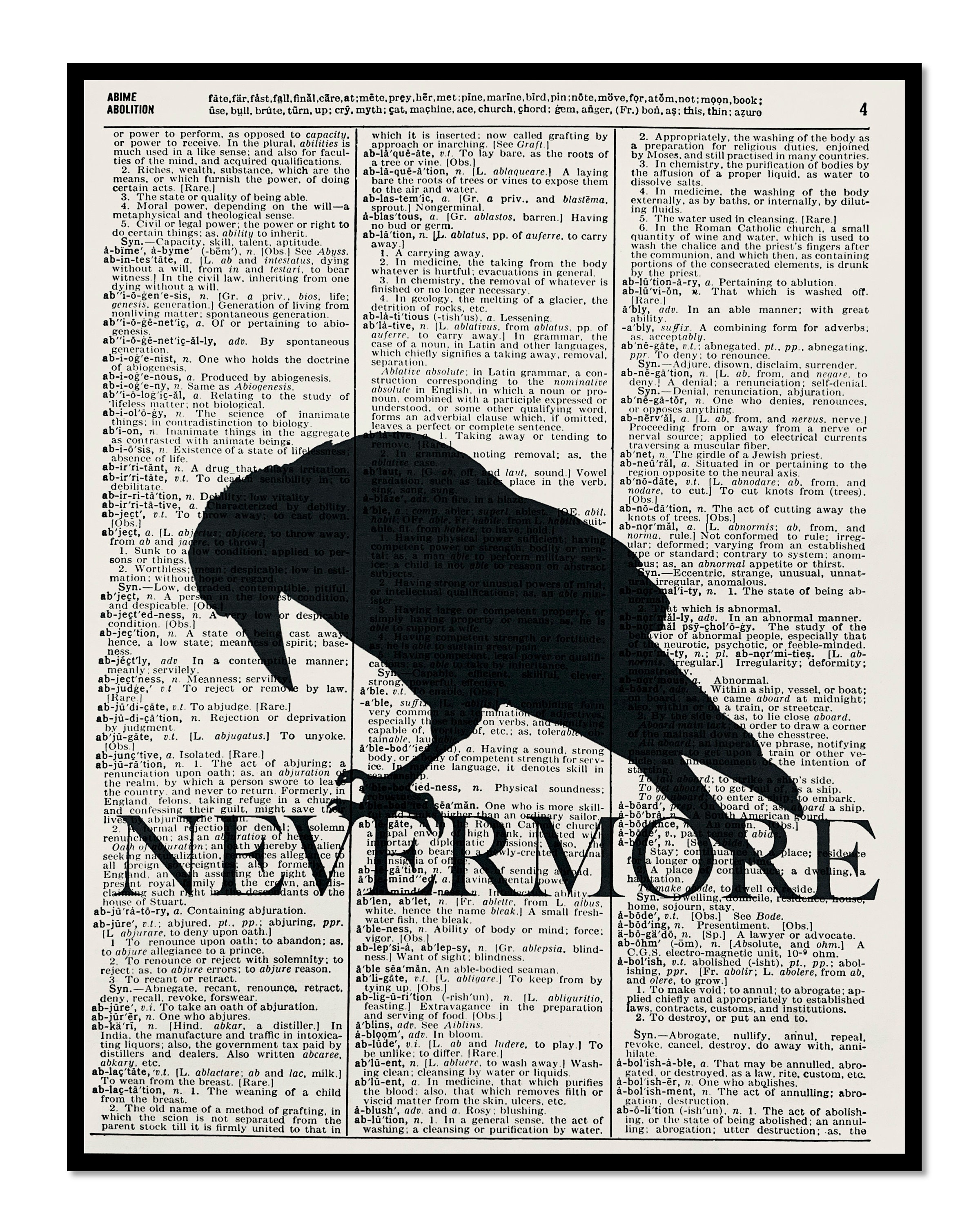 Edgar Allen Poe, the Raven, Nevermore, Raven Poe, 8x10 Dictionary