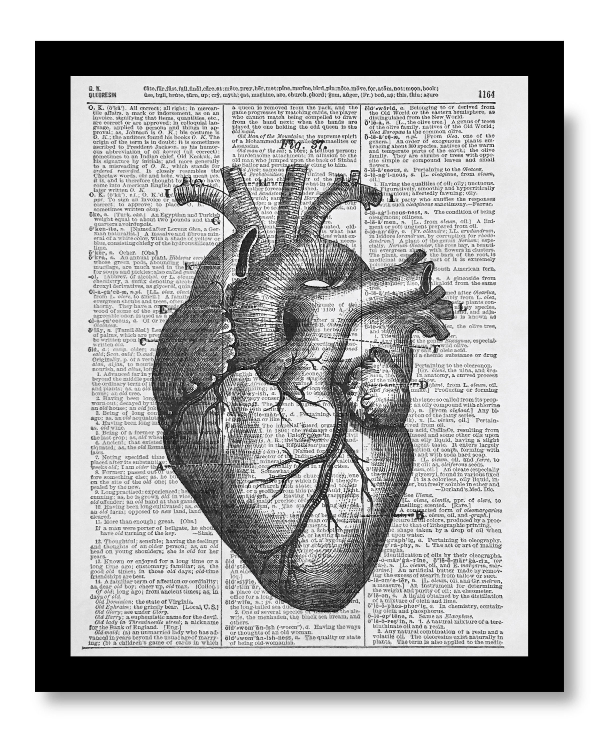 Anatomical Heart Print Dictionary Art Dictionary Art Print - Etsy