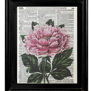 Pink Peony, Pink Peony Floral Print, Vintage Peony Pink Flowers Wall Art, Pink Peony Floral Dictionary Page Prints, Mixed Media Prints,