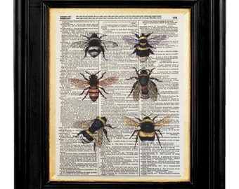 Honey Bees,  Honey Bee Art,Honey Bee, Collage Mixed Media, 8x10 Vintage Dictionary Page Art Prints, Honey Bee Pictures, Bees, Bee Print