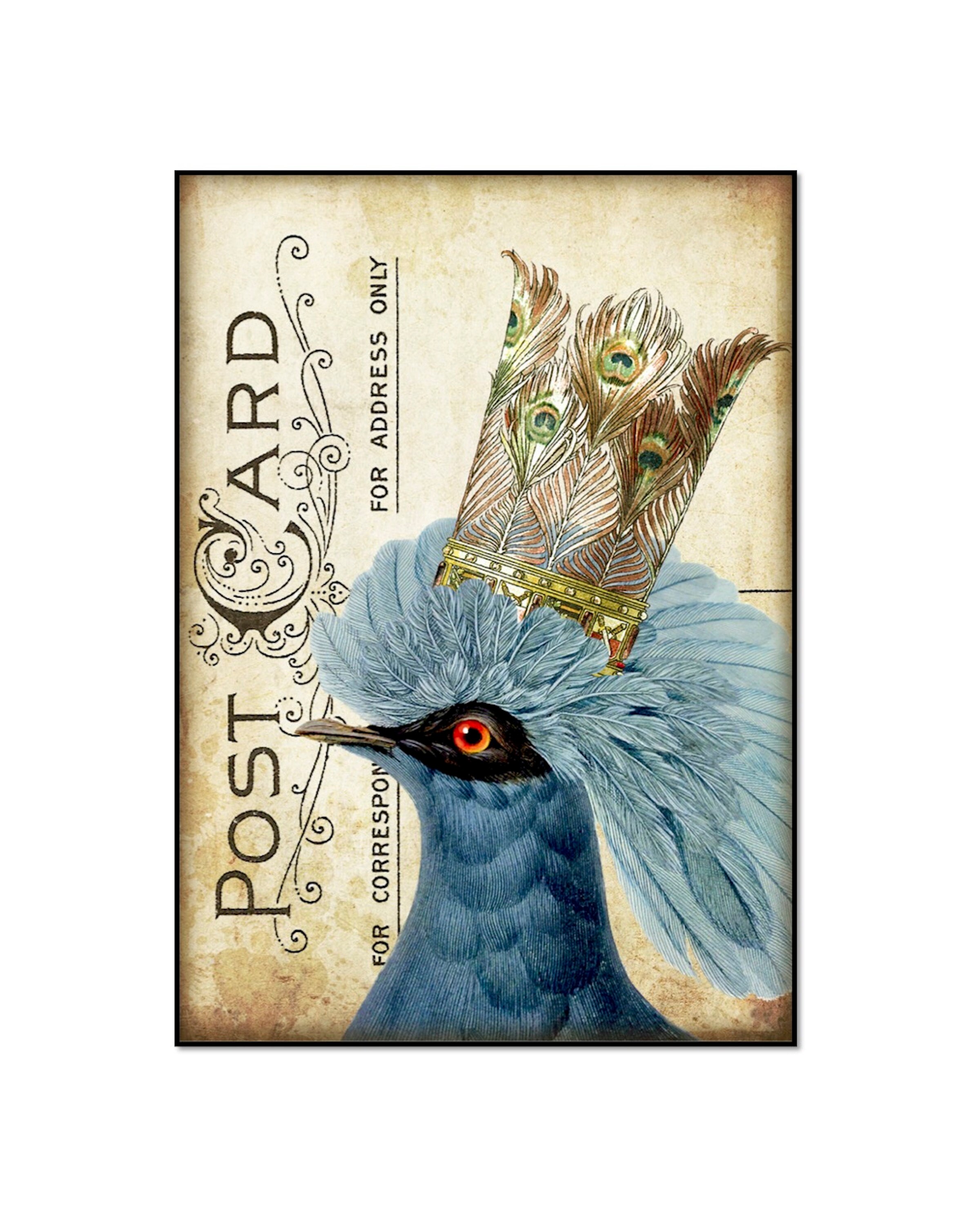Birds with Crowns Set of Six 8x10 Prints 6 Prints of Birds | Etsy