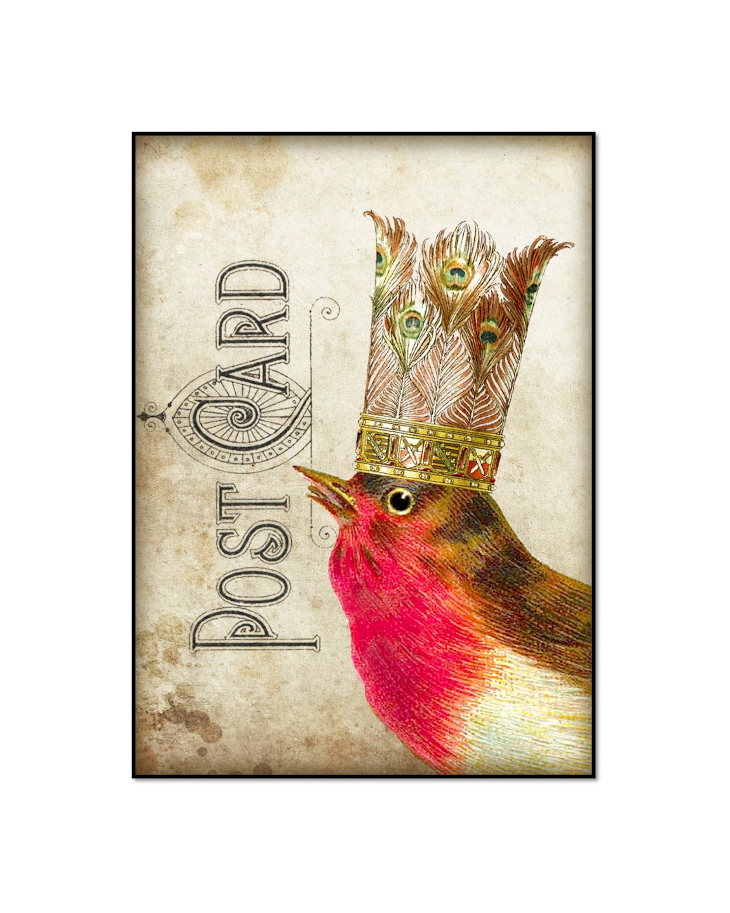 Birds with Crowns Set of Six 8x10 Prints 6 Prints of Birds | Etsy