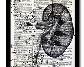 Anatomical Print, Kidney Art Print, Medical Art Kidney, Anatomical Wall Art, Medical Print, Dictionary Prints, Floral Art Kidney Anatomy Art