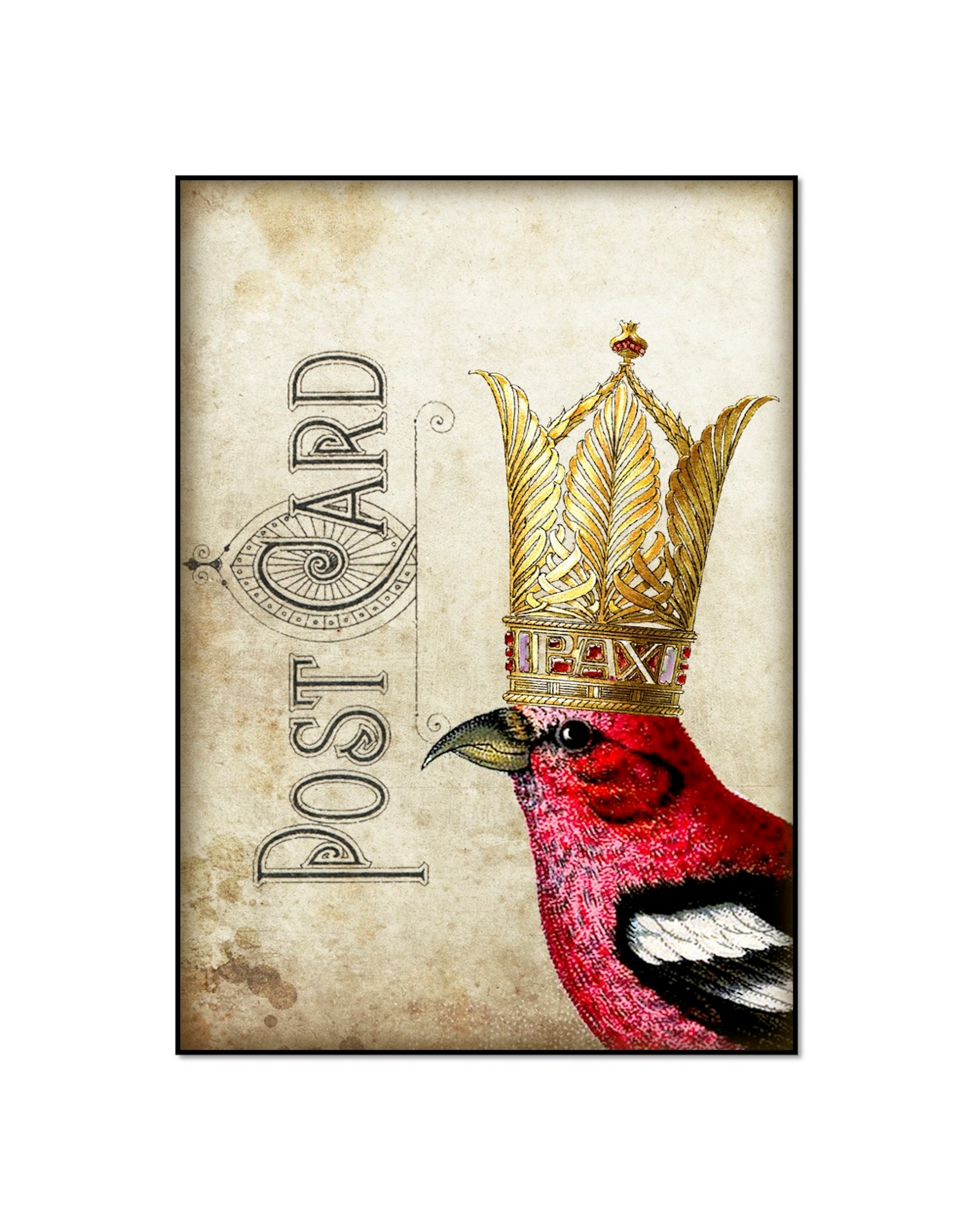 Birds with Crowns Set of Six 8x10 Prints 6 Prints of Birds | Etsy