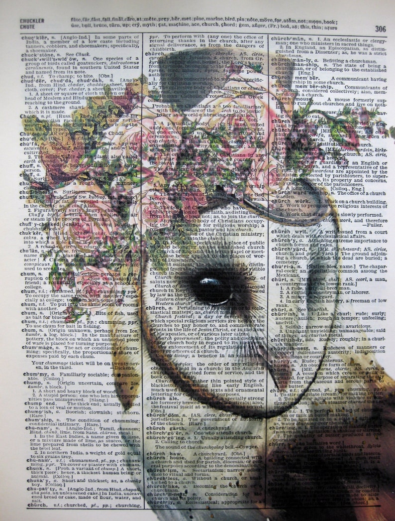 White Owl Print Pink Roses Steampunk Print Owl Humor Etsy white-owl-print-pink-roses-steampunk-print-owl-humor-etsy