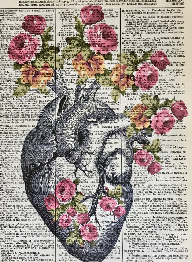 Anatomical Heart 8x10 Human Heart Art Cardiology Gifts Etsy