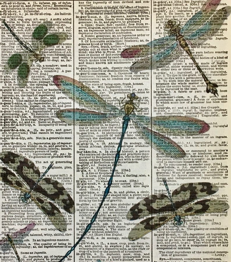 Dragonfly Art, Dragonfly Print, Dragonfly Artwork, Dragonfly Pictures, Teal Dragonfly, Dictionary Dragonfly Art, Dictionary Print, 8x10 Size image 4