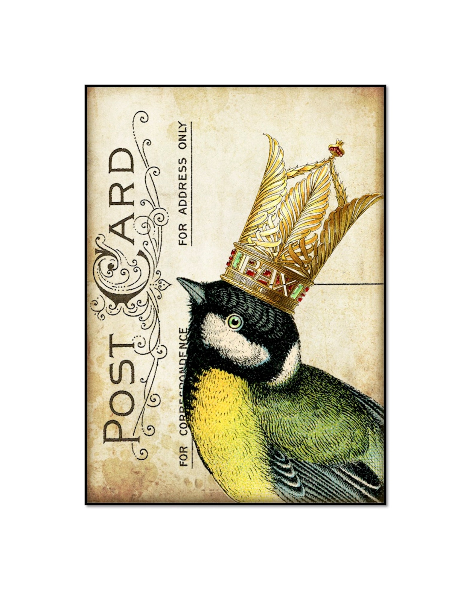 Birds with Crowns Set of Six 8x10 Prints 6 Prints of Birds | Etsy