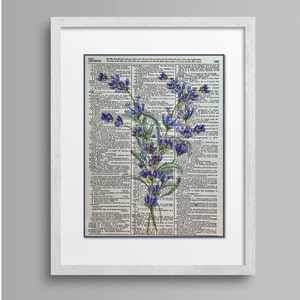 Lavender Flower Print, Floral Decor, 8x10, Dictionary Page Print Dictionary Page art Print, Purple Decor, Lavender Decor, Healing Lavender