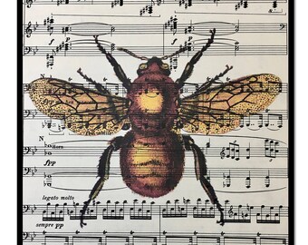 Vintage Honey Bee Art Print: Music Sheet Mixed Media