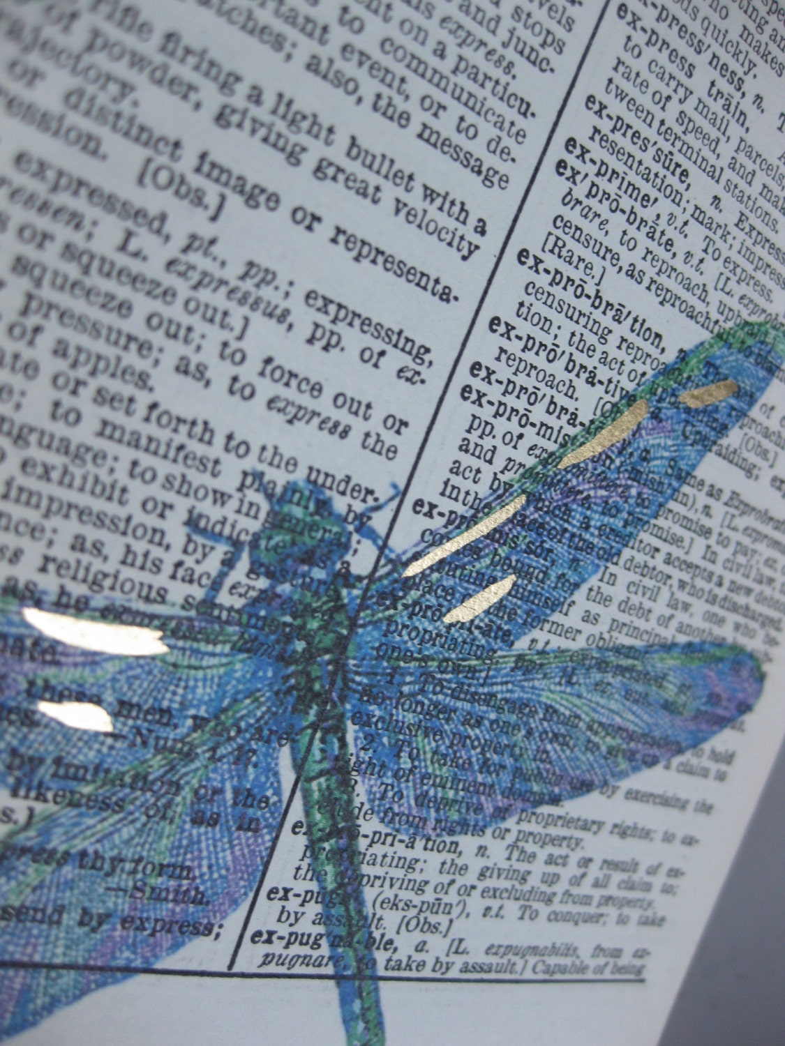 Dragonfly Art Print: Rainbow Mixed Media on Vintage Dictionary Page - Etsy