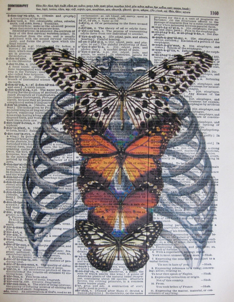 Skeleton Rib Cage Butterfly Dreams Skeleton Art Print | Etsy