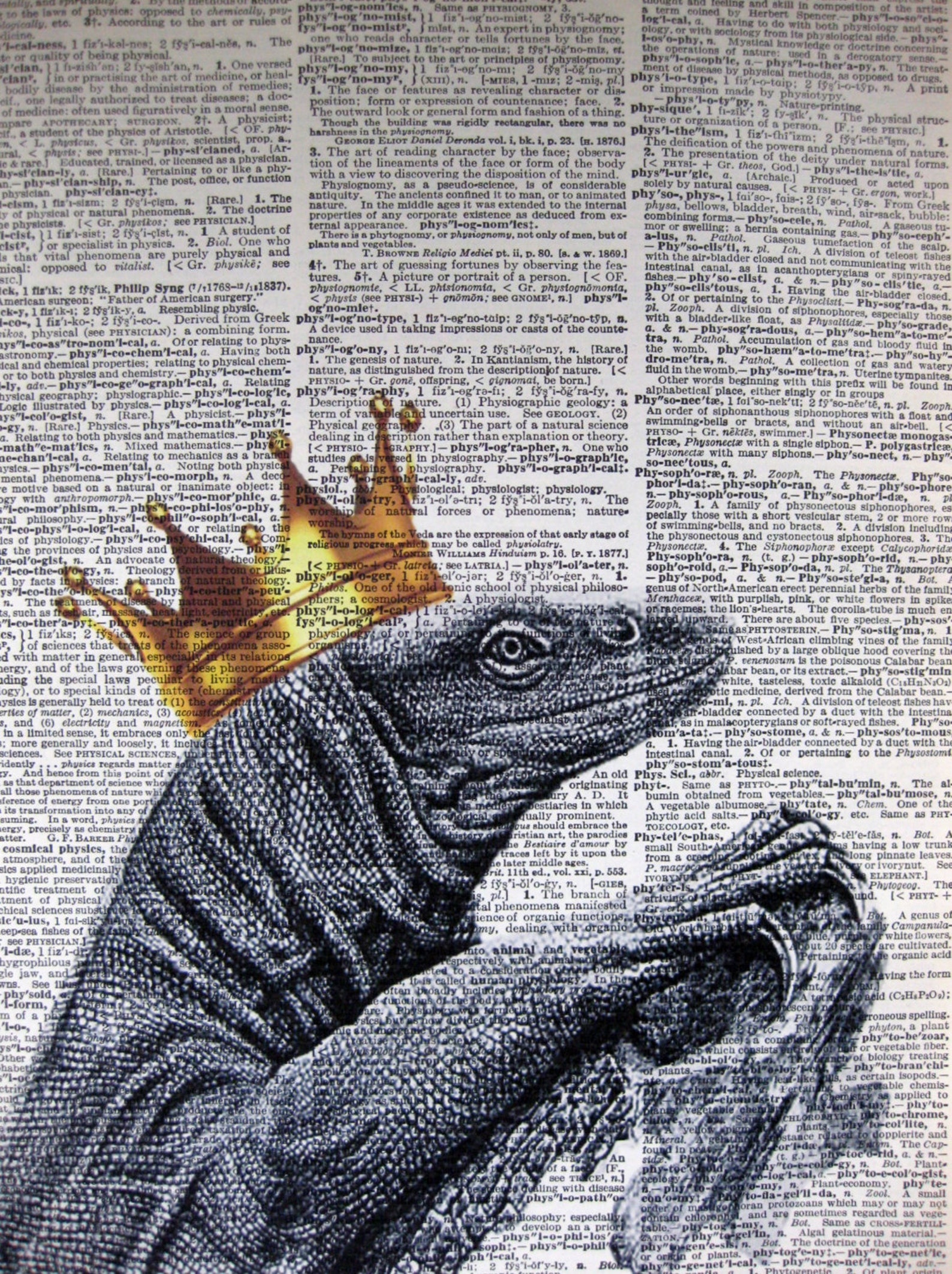 Iguana Lizard King Art Print, Vintage Dictionary Page (8x10) - Etsy