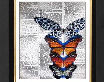 Butterfly,Monarch Butterfly, Orange butterfly, Butterflies, love butterfly, 8x10 Vintage Dictionary Page Art Prints, Butterfly Paintings