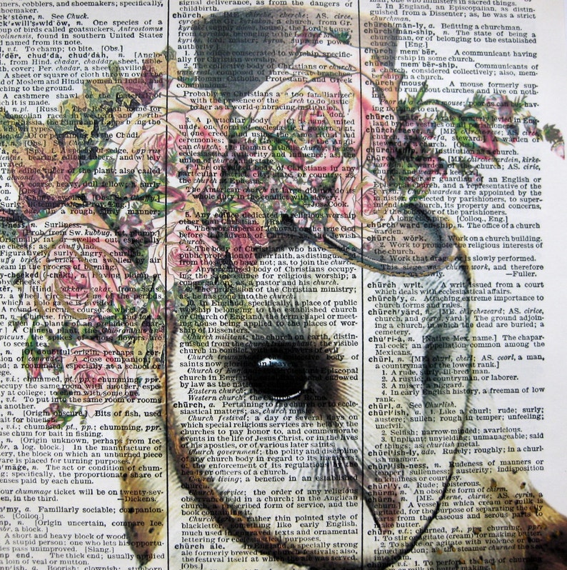 White Owl Print Pink Roses Steampunk Print Owl Humor Etsy white-owl-print-pink-roses-steampunk-print-owl-humor-etsy