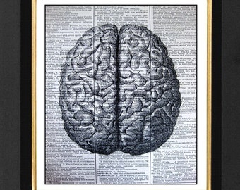 Anatomy Art, Anatomical Brain, Gray Matter, Dictionary Print of Anatomical Brain, Biology Art, Brain Poster, Anatomical artwork, The Brain