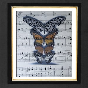 Butterfly Print, Butterfly Stacked ,Butterfly Gold , Sheet Music Art, 8x10 Butterfly, Vintage Music Print, Butterfly Wall Art, Wall Art