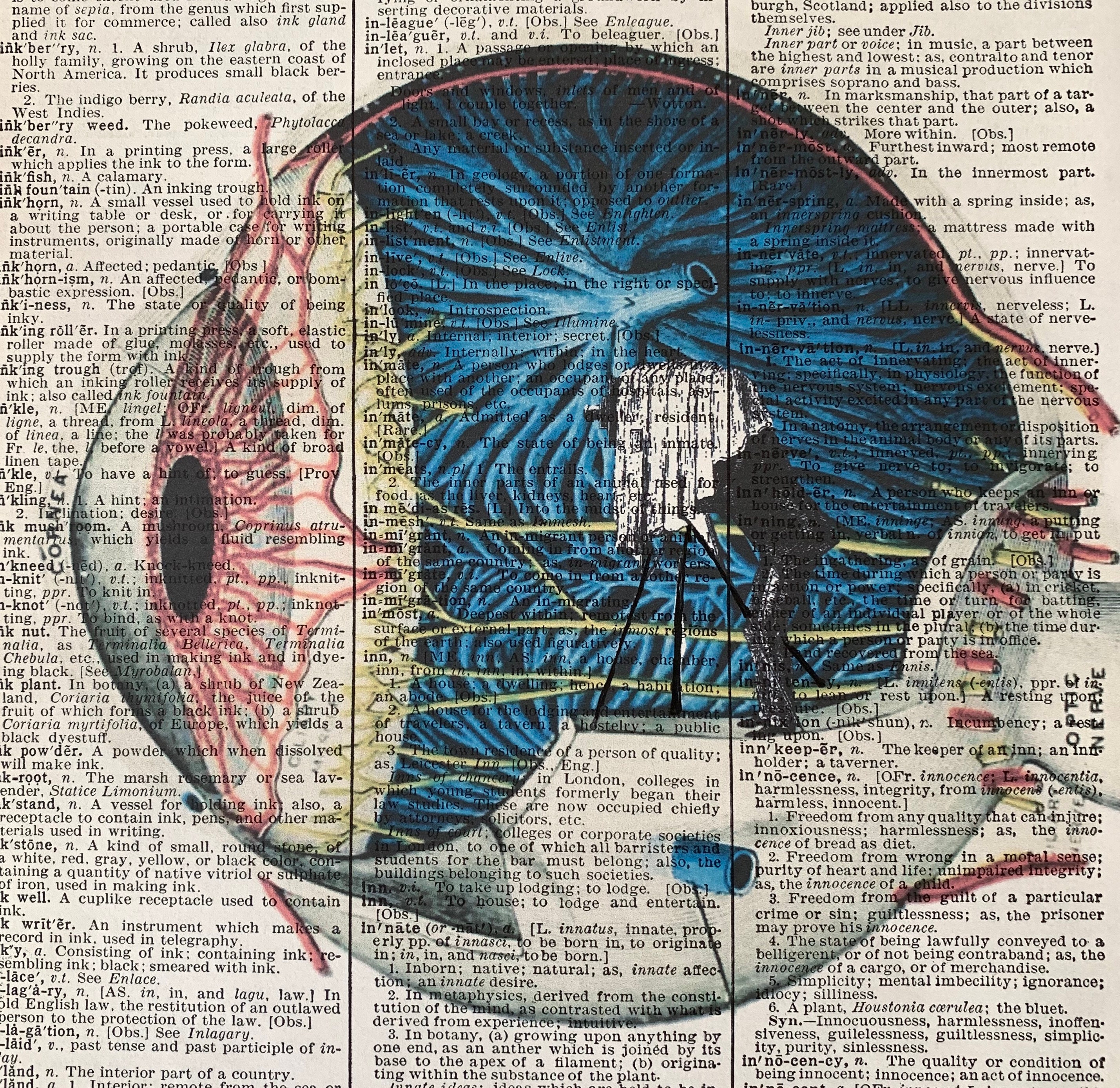 Human eye | Definition, Anatomy, Diagram, Function, \u0026 Facts | Britannica, image size:2858x2776