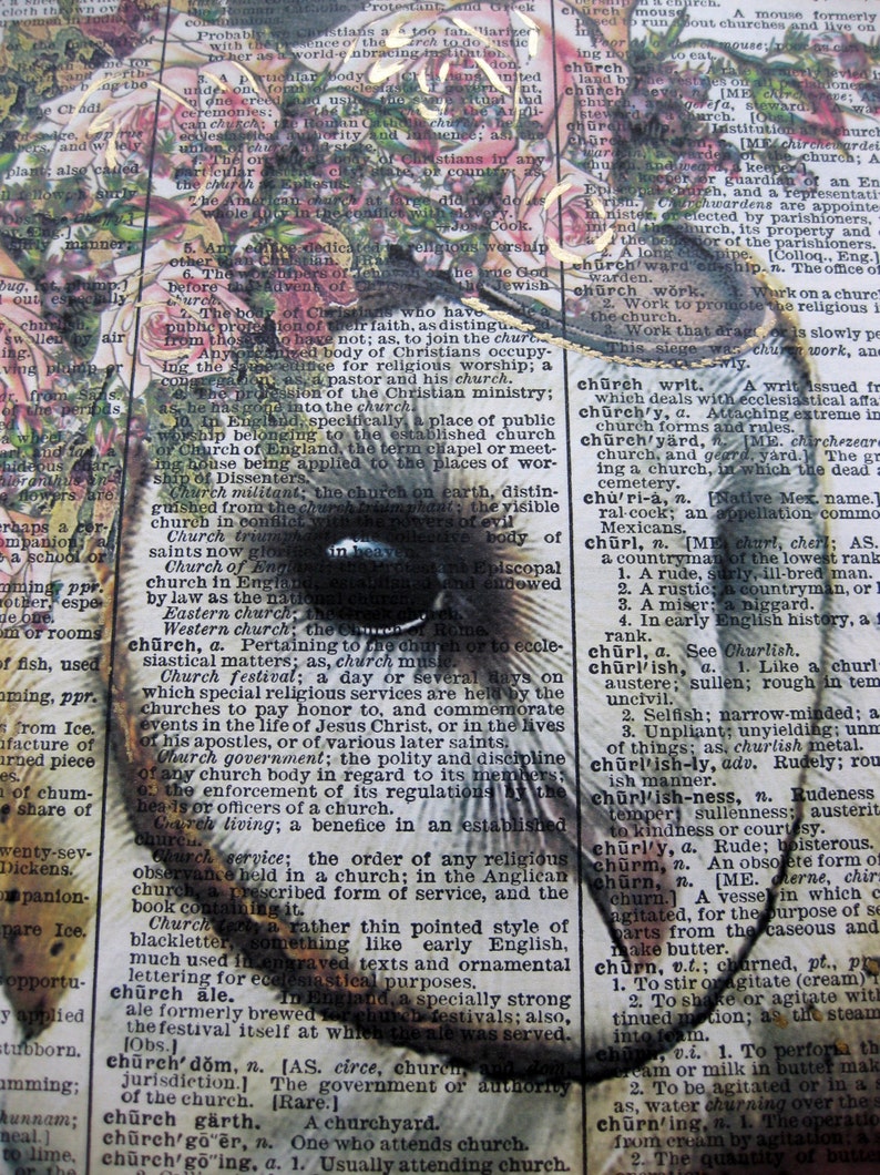 White Owl Print Pink Roses Steampunk Print Owl Humor Etsy white-owl-print-pink-roses-steampunk-print-owl-humor-etsy