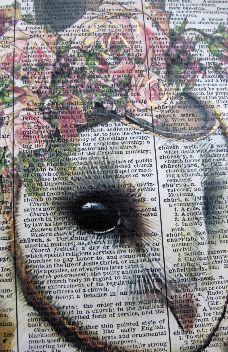 White Owl Print Pink Roses Steampunk Print Owl Humor Etsy white-owl-print-pink-roses-steampunk-print-owl-humor-etsy