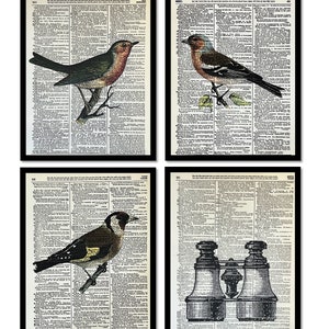 Set of 4 Bird Prints, Bird Watcher Gift, Bird Watcher, Bird Lover Wall Art, Contemporary Decor, Woodland Art Decor,  8x10, Dictionary Art