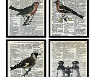 Set of 4 Bird Prints, Bird Watcher Gift, Bird Watcher, Bird Lover Wall Art, Contemporary Decor, Woodland Art Decor,  8x10, Dictionary Art