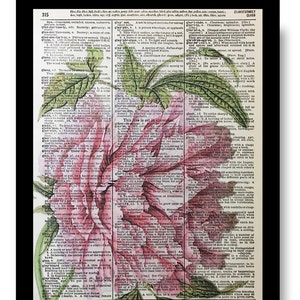 Pink Peony, Vintage Floral Pink Decor, Floral Wall Art, Dictionary Prints, Dictionary Art, Pink Green Wall Art, Floral Pictures