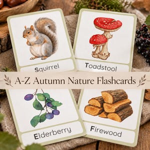 Könnte beinhalten: Vier quadratische Lernkarten mit Aquarellillustrationen eines Eichhörnchens, eines roten Fliegenpilzes, eines Zweigs mit violetten Holunderbeeren und eines Stapels Brennholz. Jede Karte enthält den Namen in schwarzer Schrift unten.