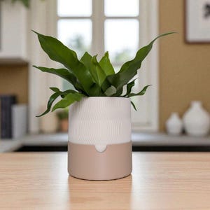 Ribbed Self Watering Planter, 3D Printed Modern Plant Pot with Reservoir, Fluted Indoor Planter for Herbs & Succulents