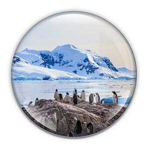 Antarctic Penguin Paperweight: 3-Inch Crystal Dome, Gift Boxed