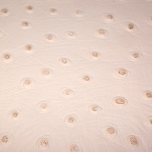 May include: Close-up of a cream-colored leather material with a distinctive pattern. The surface is dotted with numerous small, raised, circular features, each with a lighter, textured center, creating a unique visual texture.