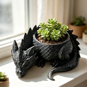 May include: A black dragon-shaped planter featuring a textured, scaled surface and a central circular opening containing a green succulent plant with thick, fleshy leaves. The dragon is depicted in a resting position with its tail curled around the base.