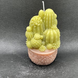 May include: A light green cactus-shaped candle featuring multiple succulent and cactus textures, including rounded and ribbed forms. The candle is set in a light pink, round, textured base with a floral pattern and has a single white wick.